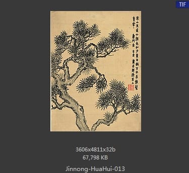 金农-花卉册