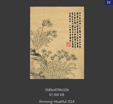 金农-花卉册