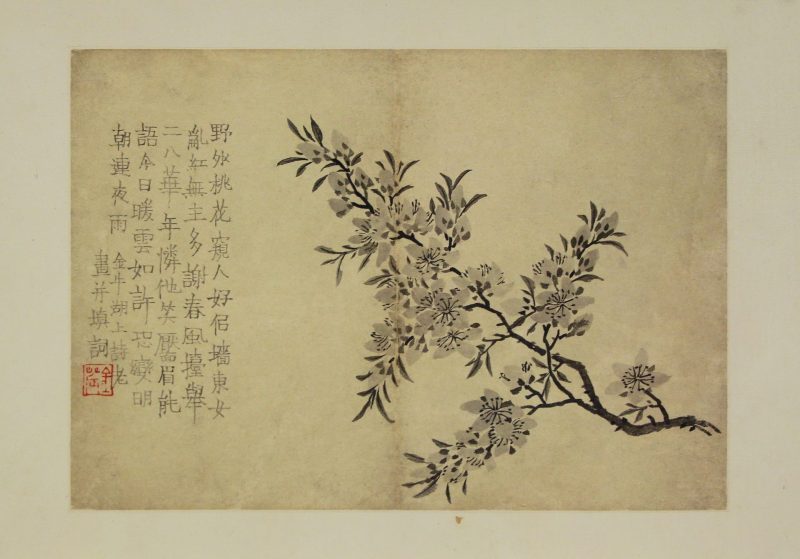 花卉图册