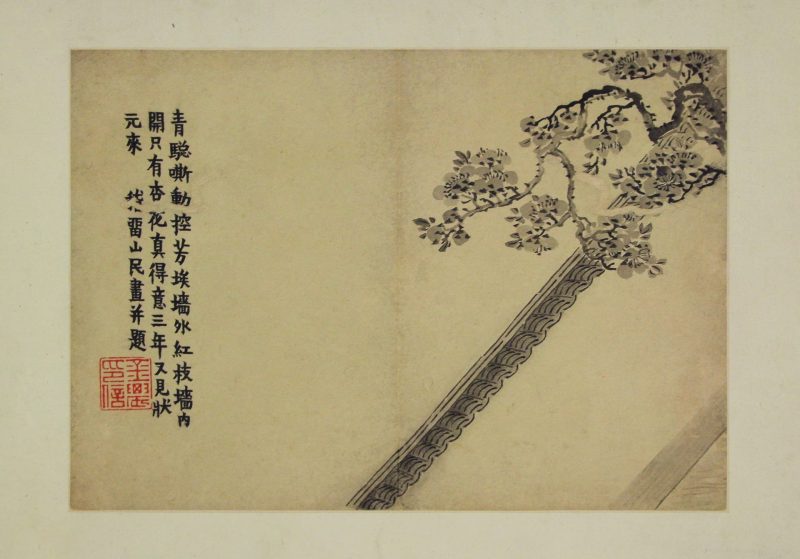 花卉图册