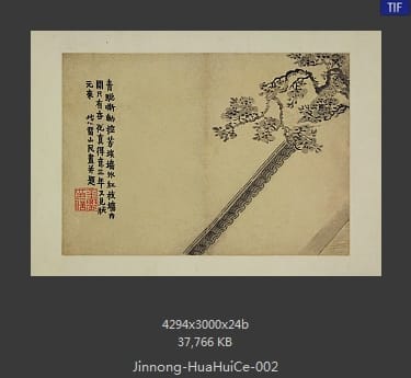 金农-花卉图册