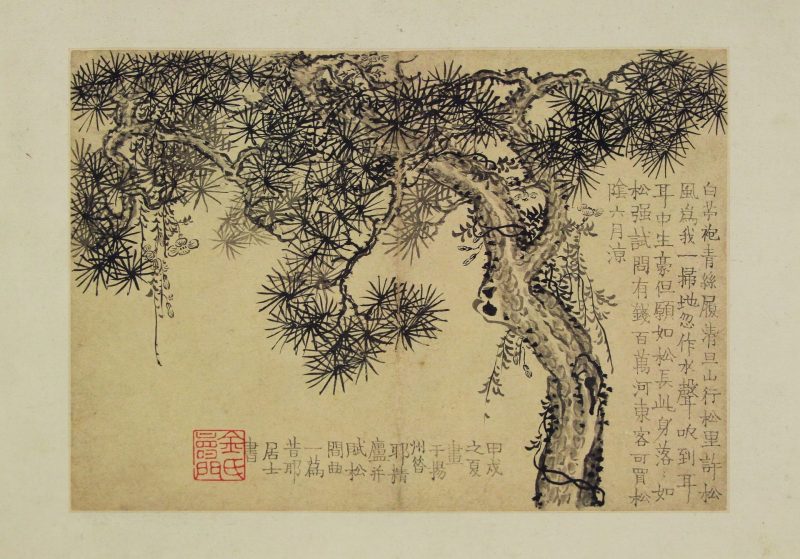 花卉图册