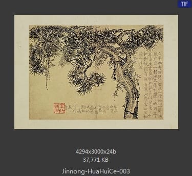 金农-花卉图册