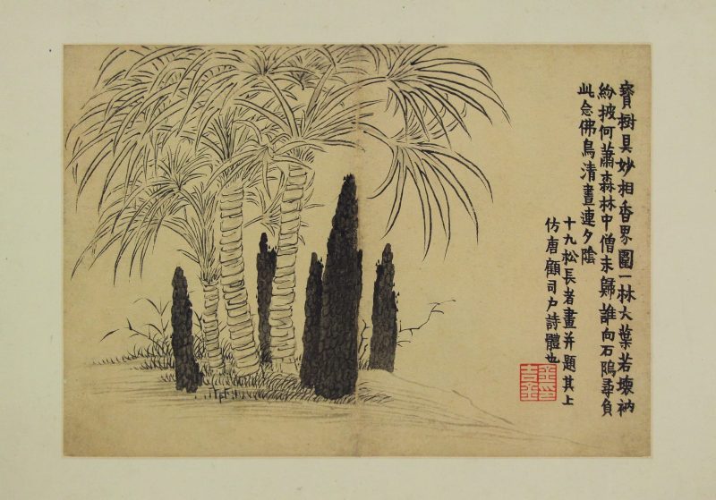 花卉图册