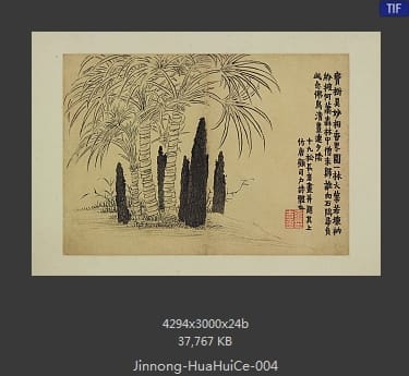 金农-花卉图册