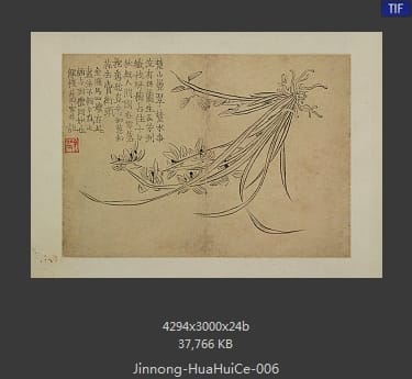 金农-花卉图册