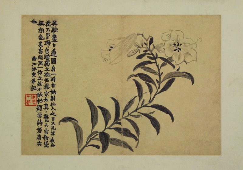 花卉图册