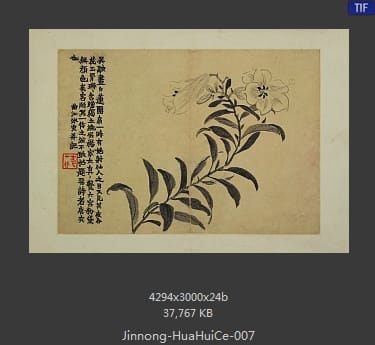 金农-花卉图册