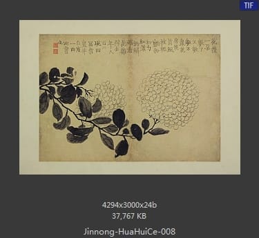 金农-花卉图册