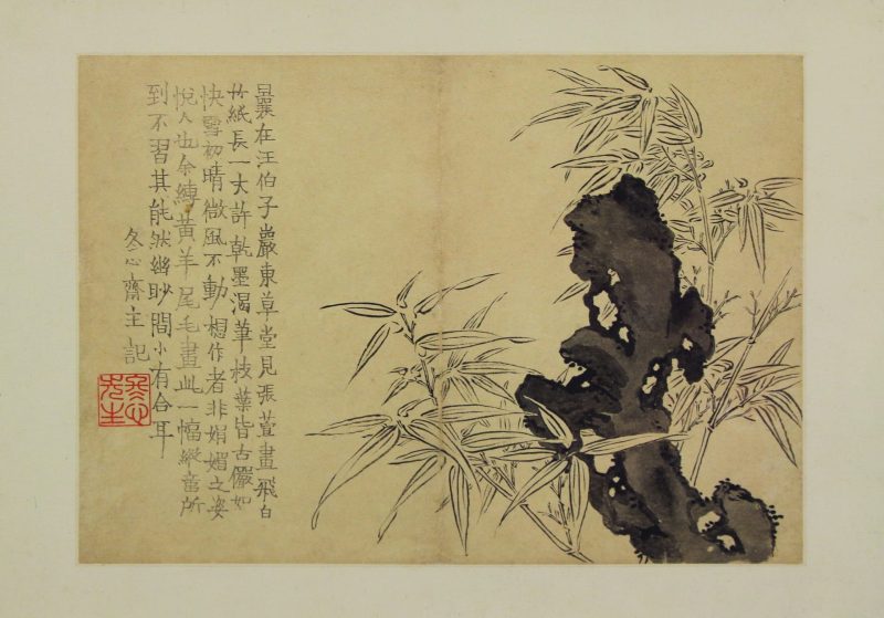 花卉图册
