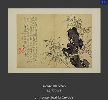 金农-花卉图册