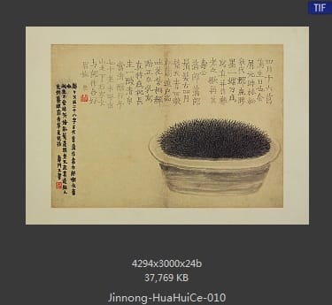 金农-花卉图册