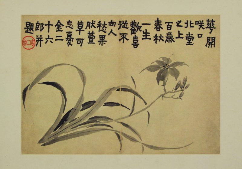 花卉图册