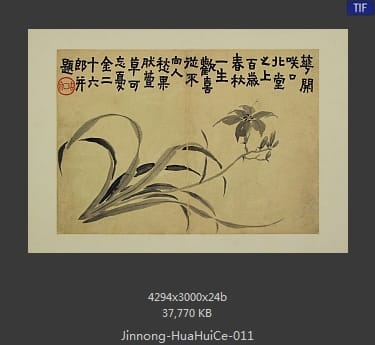 金农-花卉图册
