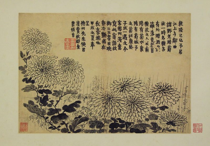 花卉图册