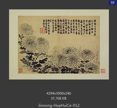 金农-花卉图册