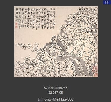金农-梅花图册页