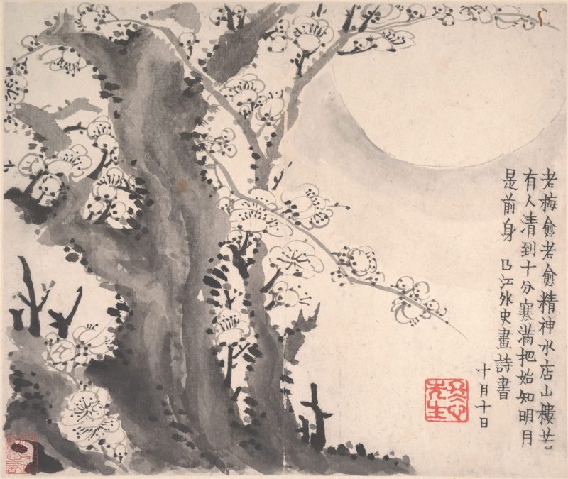 梅花图册页