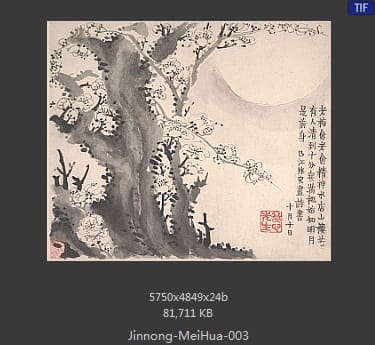 金农-梅花图册页