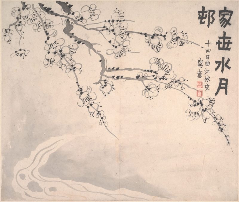 梅花图册页
