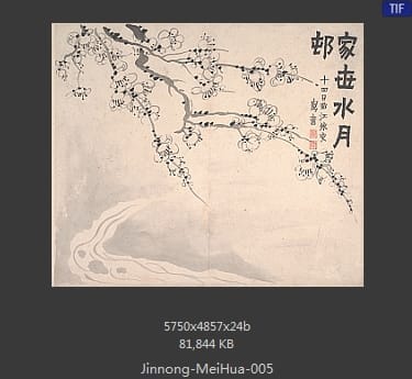 金农-梅花图册页