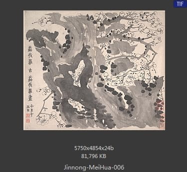 金农-梅花图册页