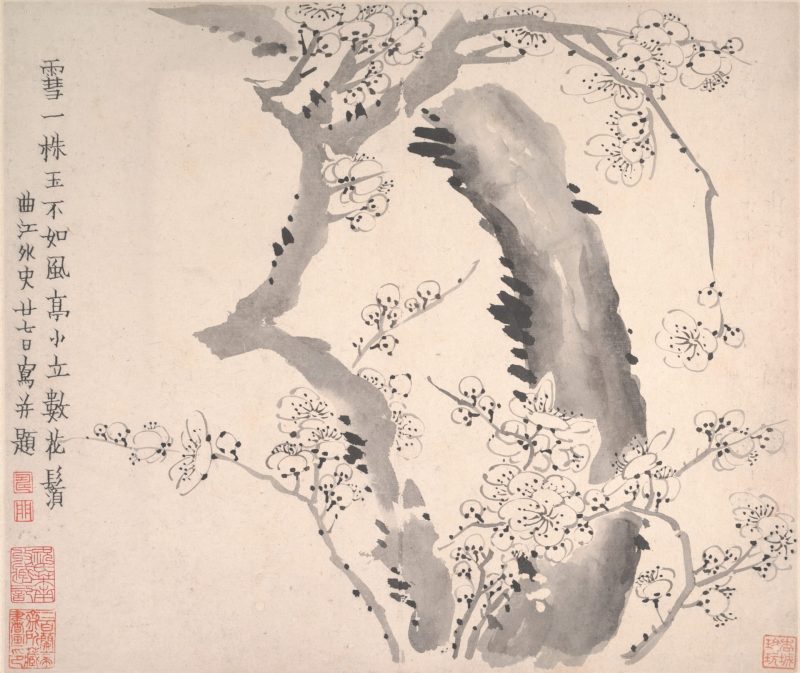 梅花图册页