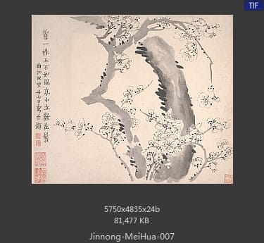 金农-梅花图册页