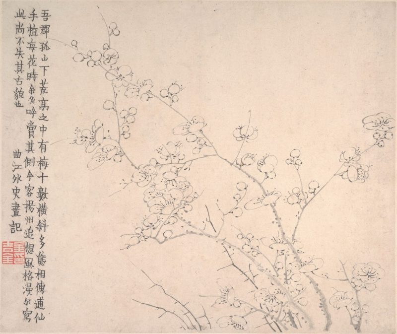 梅花图册页