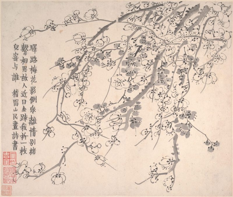 梅花图册页