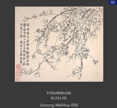 金农-梅花图册页