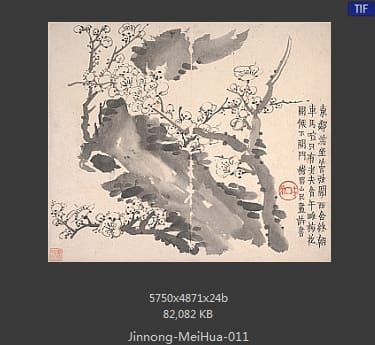 金农-梅花图册页