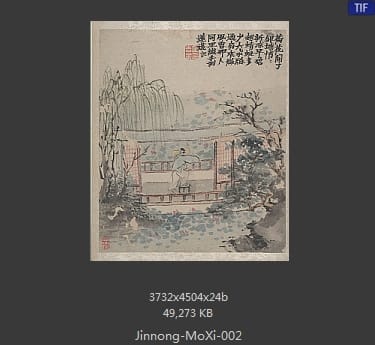 金农-墨戏图册