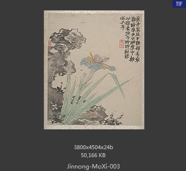 金农-墨戏图册