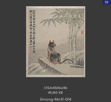 金农-墨戏图册