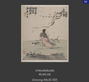 金农-墨戏图册