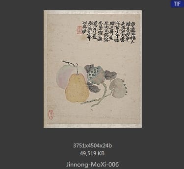 金农-墨戏图册