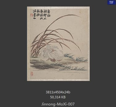 金农-墨戏图册