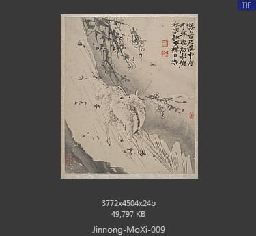 金农-墨戏图册