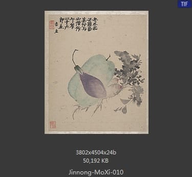 金农-墨戏图册
