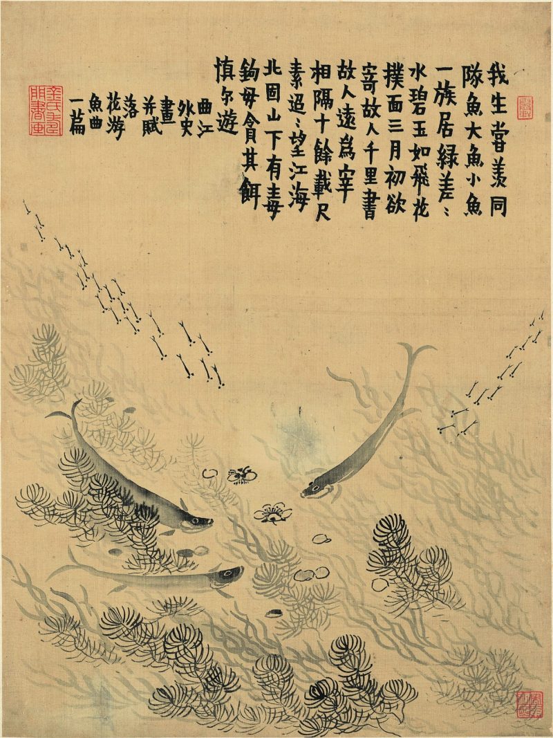 杂画