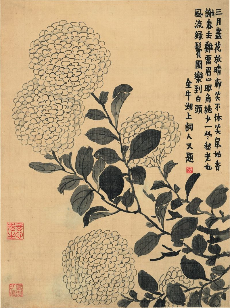 杂画