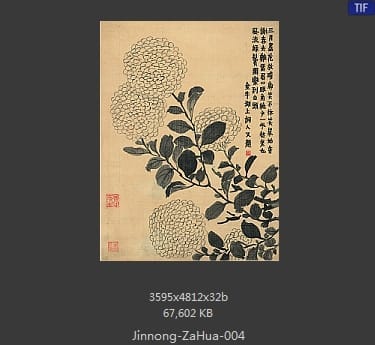 金农-杂画