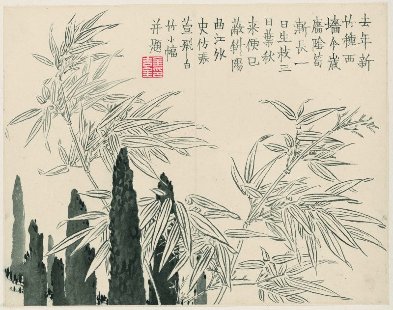 杂画