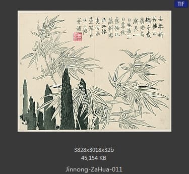 金农-杂画