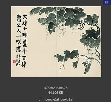 金农-杂画