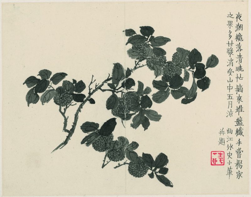 杂画