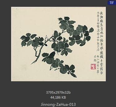 金农-杂画