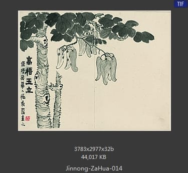 金农-杂画