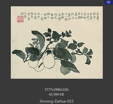 金农-杂画